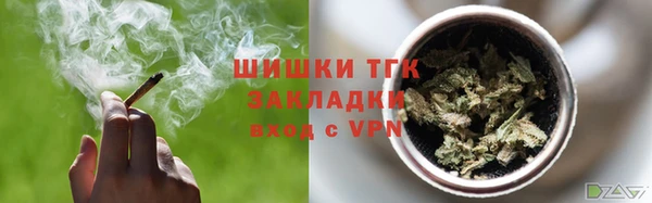 твердый Корсаков