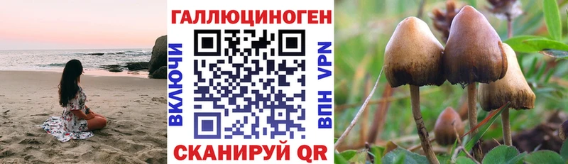 Псилоцибиновые грибы мицелий  omg ТОР  Котельники 